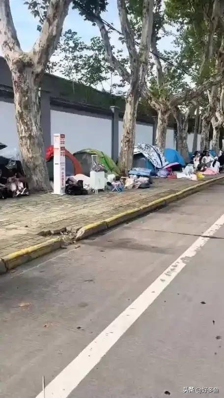 酒店选帐篷”：一场年轻态的旅行革命pg模拟器试玩00后十一长假“弃(图2)