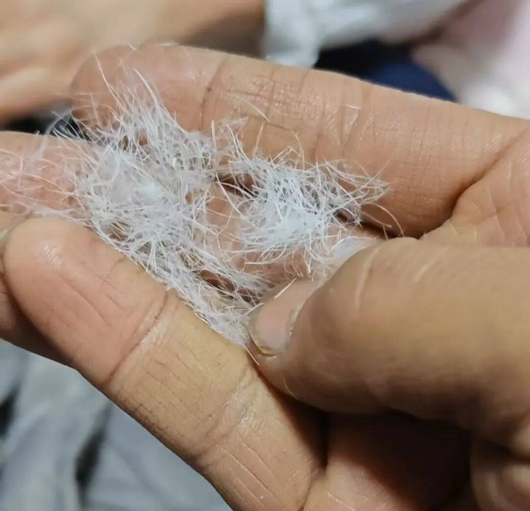 鸭毛”消费者怀疑是假货商家悄悄删改宣传语